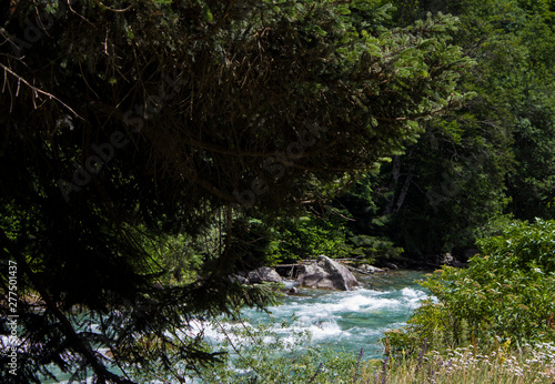 mountain river in the forest