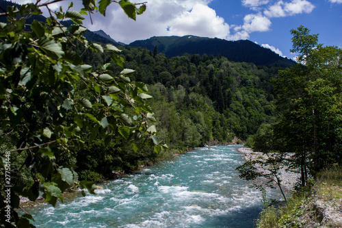 river in forest