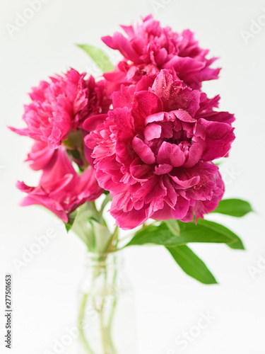 Red peonies bouquet in a glass vase on a white isolated background. Fresh flowers . Selective focus. Vertical frame.