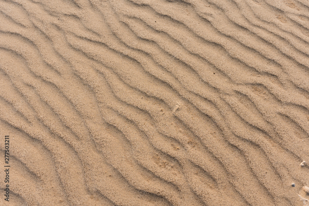 Small white pebbles shine through clay-sandy soil Small white pebbles shine through clay-sandy soil