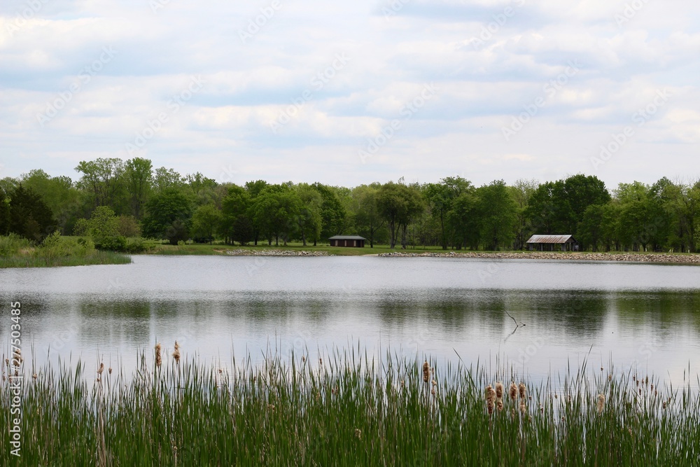 A beautiful view of the lake over the to of the reed.