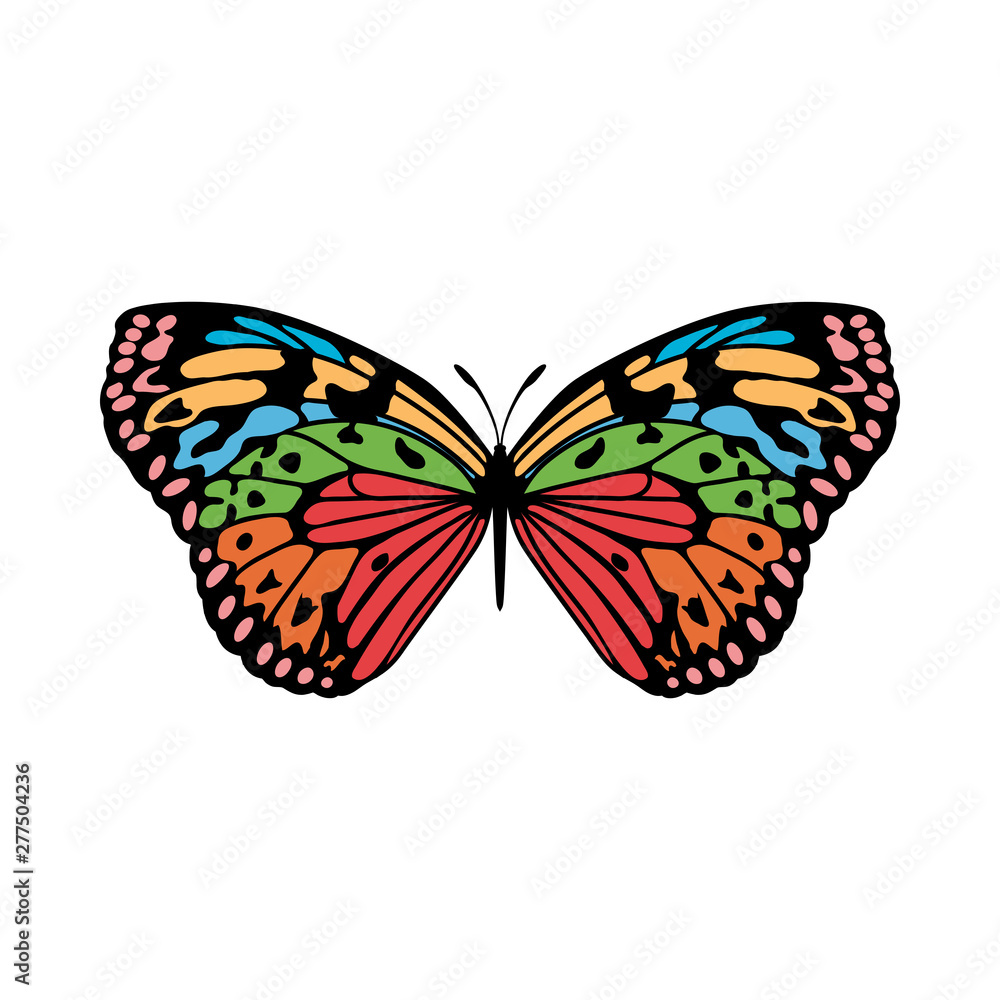 Butterfly Icon Butterfly Icon