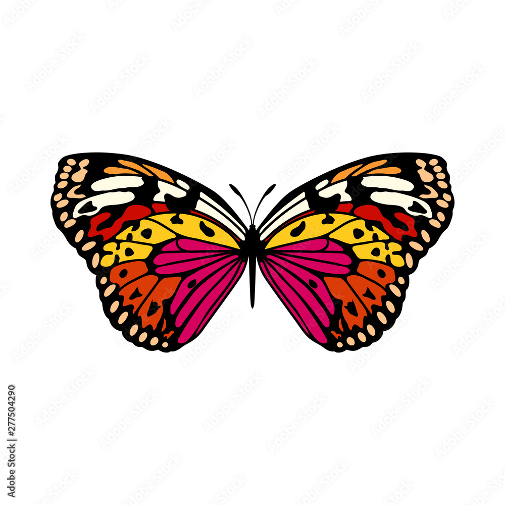 Fototapeta premium Butterfly Icon