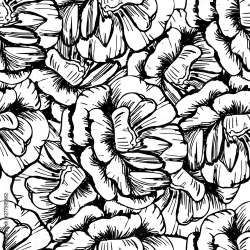 Large ellegant seamless pattern with roses. Botanical texture big flowers