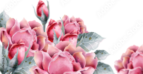 Roses flowers Vector watercolor Delicate floral decor backgrounds