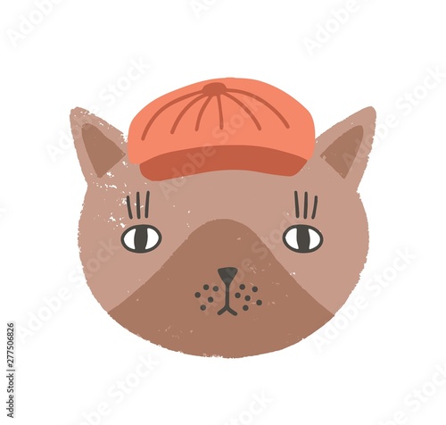 Cute funny face or head of cat wearing cap or hat