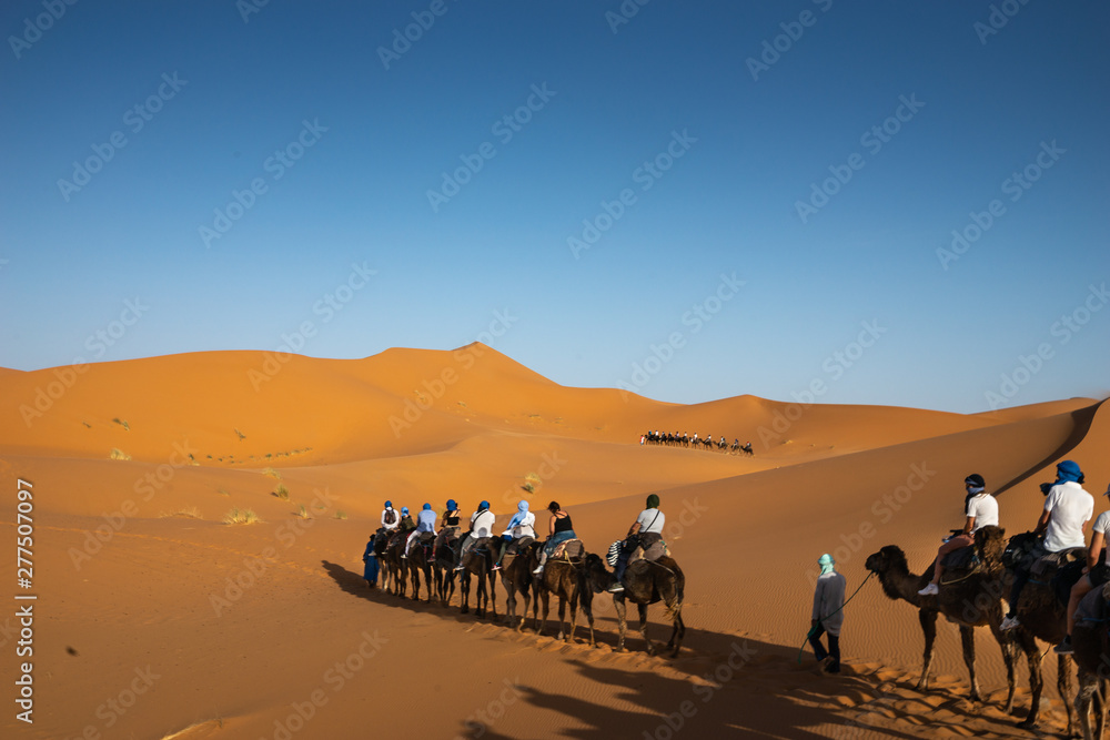 Camal Caravan in Sahara Desert in east Morocco