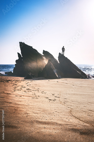 Alone  on the rocks