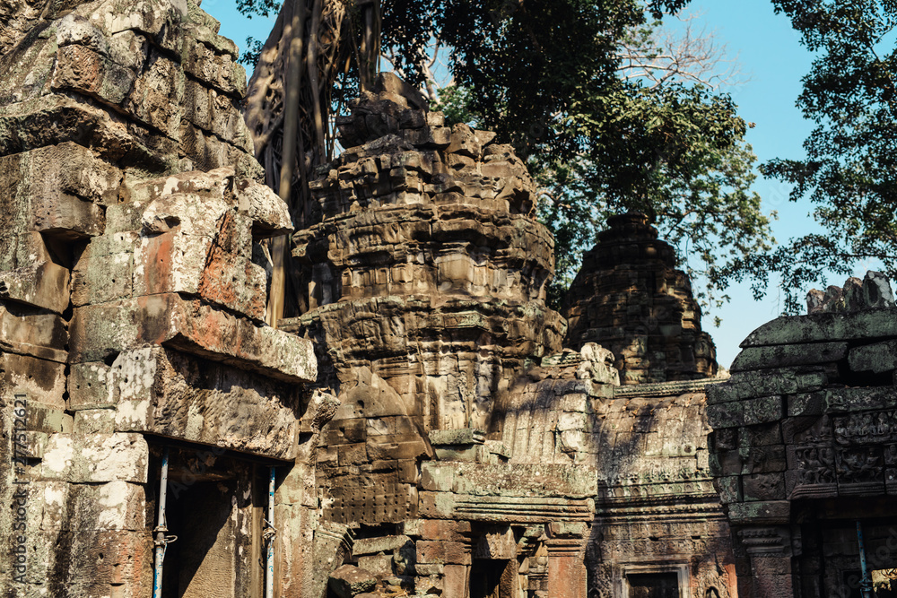 Ta Prohm temple. Ancient Khmer architecture under the giant roots of a tree at Angkor Wat complex, Siem Reap, Cambodia