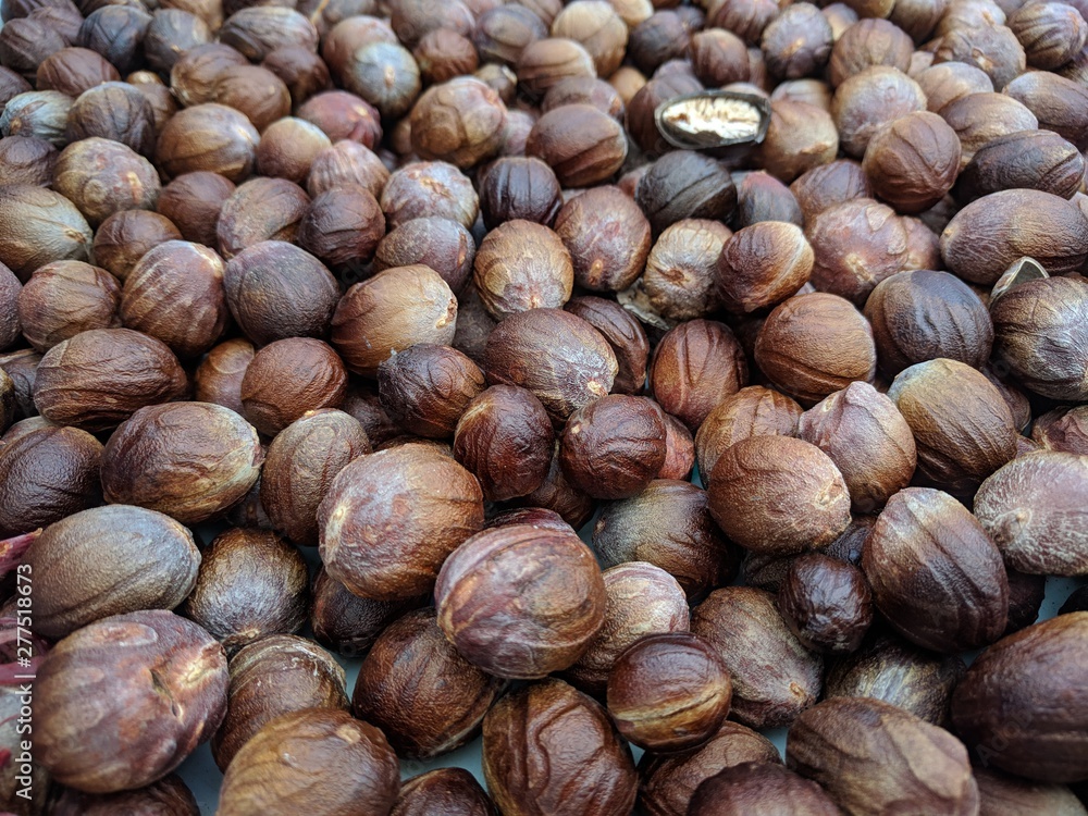Dark brown nutmeg seeds drying naturally under the sun Dark brown nutmeg seeds drying naturally under the sun