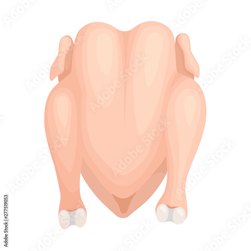 Whole chicken whole close up. Vector illustration in cartoon style. Carcass chicken top view. Ready for cooking.