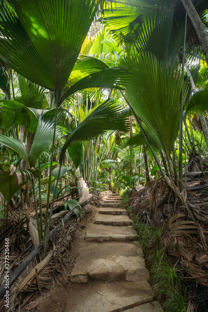 Seychelles National Botanical Gardens on the island of Praslin Seychelles National Botanical Gardens on the island of Praslin