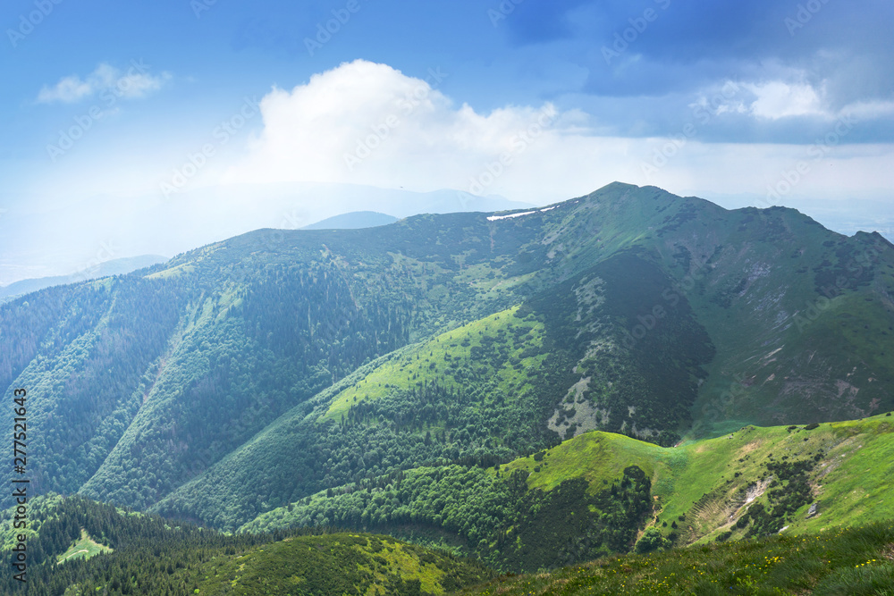 Beautiful panorama of the mountains on a sunny day in the summer. - obrazy, fototapety, plakaty 