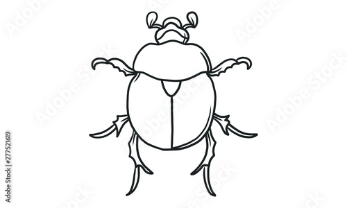 Vector lineart illustration of beetles on white background, hand drawn Japanese horned beetle bug insect sketch
