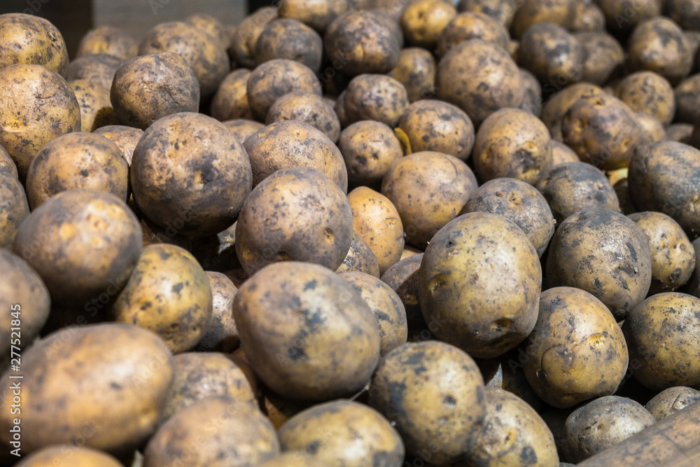 fresh harvest of potatoes in the supermarket counter fresh harvest of potatoes in the supermarket counter