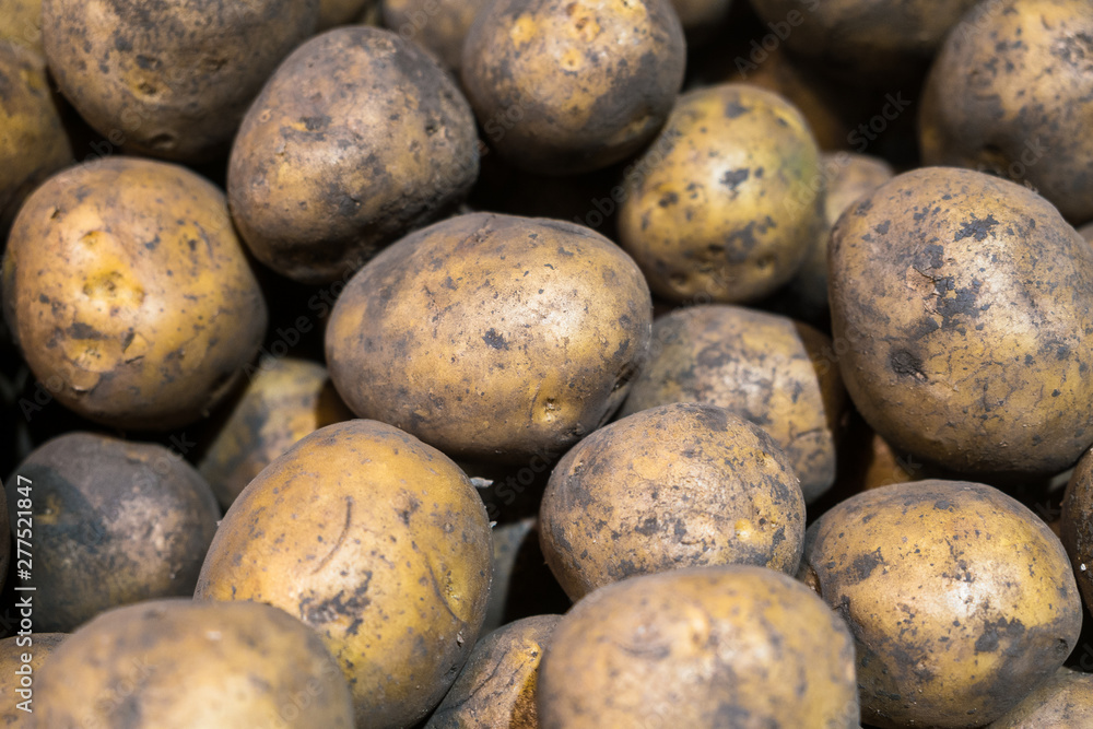 fresh harvest of potatoes in the supermarket counter fresh harvest of potatoes in the supermarket counter
