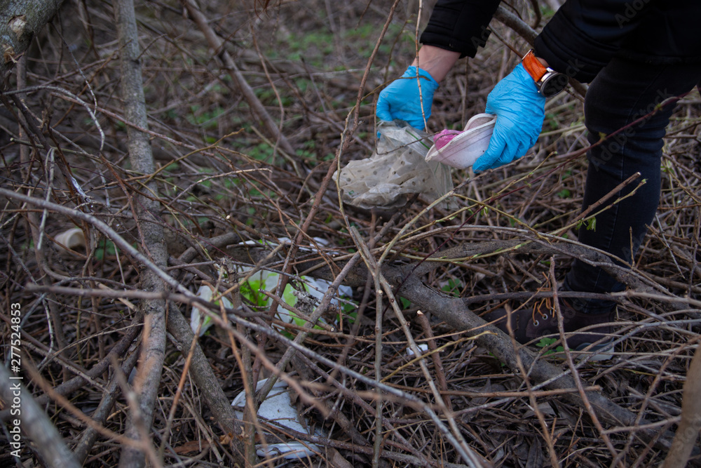 Obraz premium garbage in the nature, cleaning the environment in the spring on the river from the rubbish a woman in disposable latex blue mittens in to blue large plastic bag