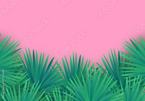 Vector Summer palm leaves on pink background. Trendy tropical frame