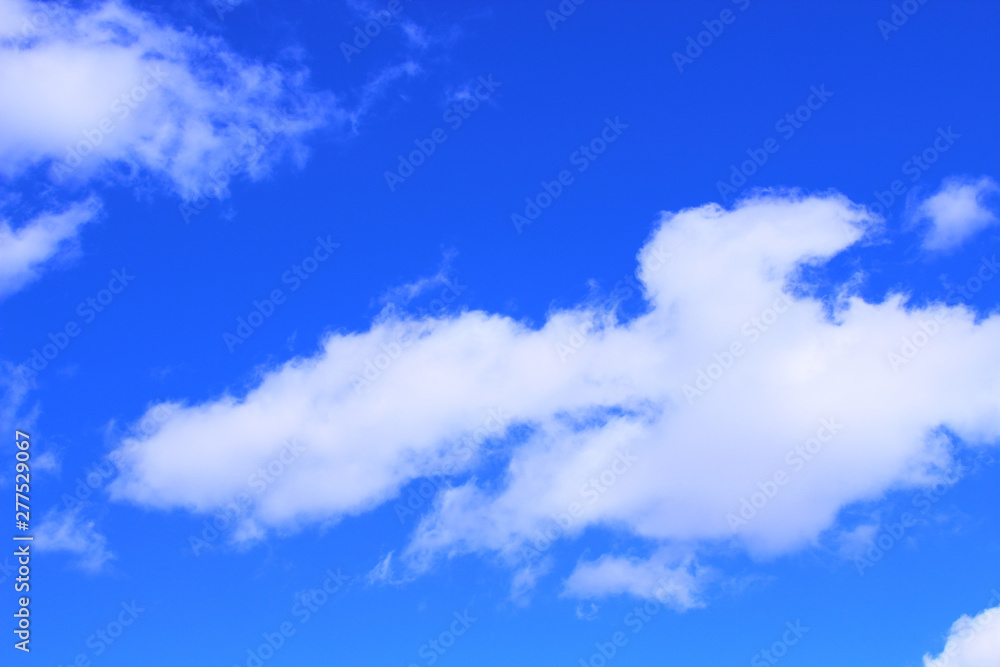 Obraz premium Cumulus in the form of a dragon. Background. Landscape.