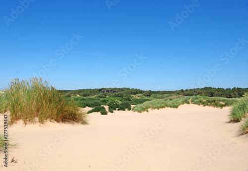 the beach at formby merseyside with dunes covered in marram grass and vegetation with forest landscape visible in the distance on a bright summer day