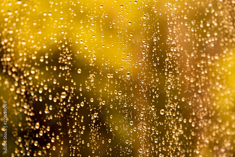  Raindrops on the window glass