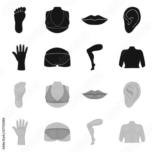 Vector illustration of body and part logo. Collection of body and anatomy stock vector illustration.