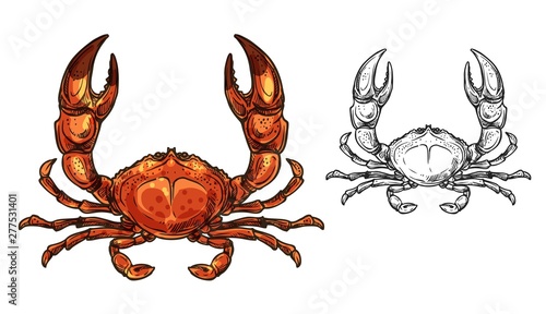 Crab seafood animal or shellfish with raised claws