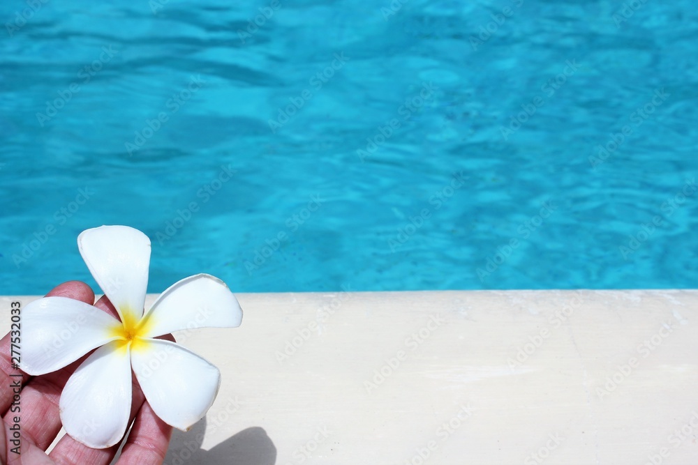 frangipani flower tropical poolside background with copy space stock photo photograph image picture frangipani flower tropical poolside background with copy space stock photo photograph image picture