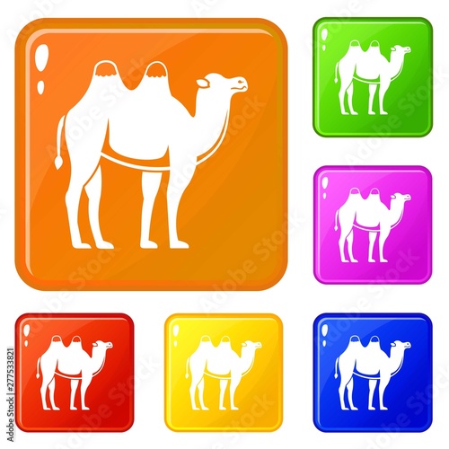 Camel icons set collection vector 6 color isolated on white background