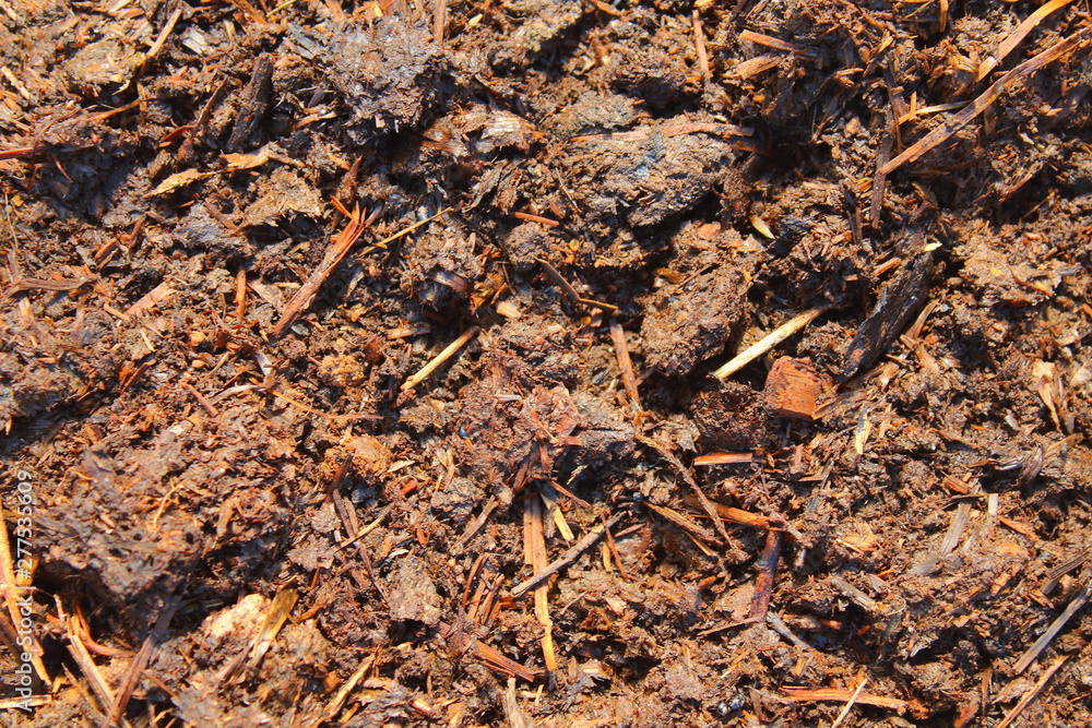 Manure is an organic fertilizer consisting of farm animal excrement. Close-up. Background. Texture.