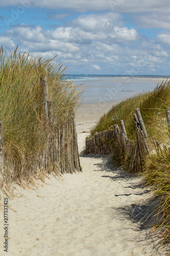 a sandy path leads trough dune grass to a sand dune beach