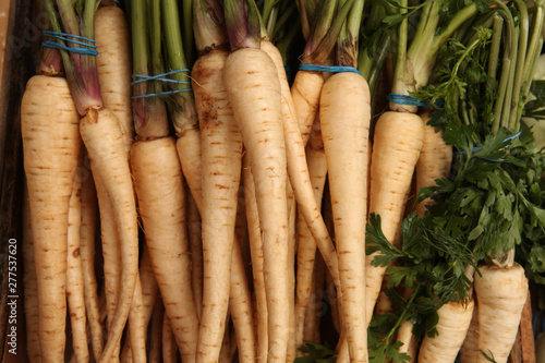 Obraz na plátně Fresh vegetables: parsnip root on counter of russian farmer market in Moscow city, Russia