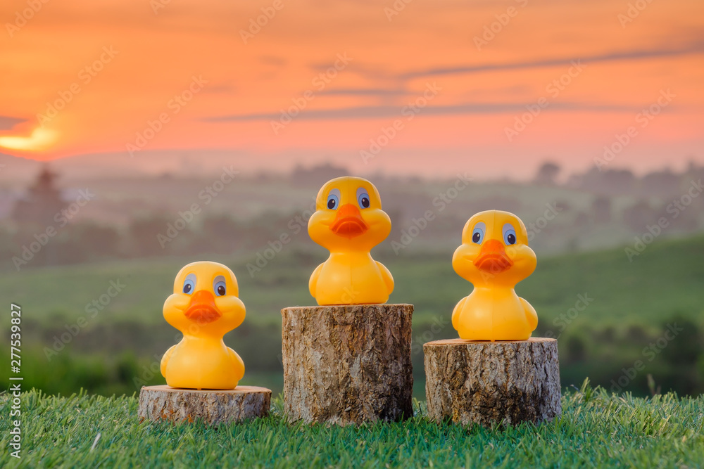 Three ranking winner yellow ducks proudly standing on the winning podium with beautiful sunrise as background. Concept of competition .