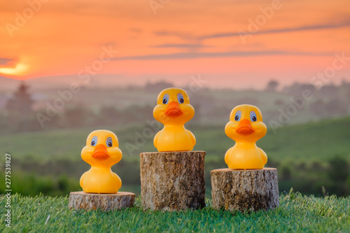 Three ranking winner yellow ducks proudly standing on the winning podium with beautiful sunrise as background. Concept of competition . photo