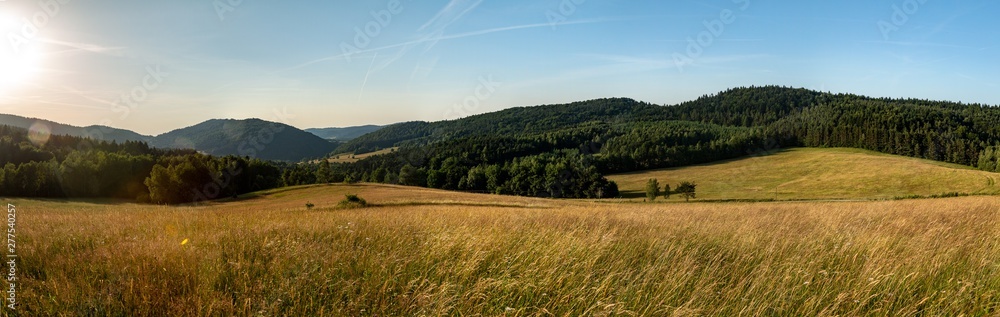 Panoramic view of the green hills flooded with warm rays of the setting sun