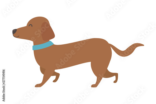 Dog cartoon design vector illustrator