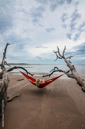 driftwood