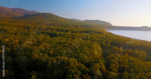 Flying above beautiful lake Blagodatnoye surrounded with green forests and mountains on the background. Sikhote-Alin Nature Reserve in Russia for the endangered Siberian tiger founded in 1935. Aerial photo