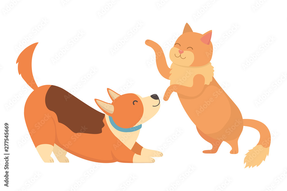 Cat and dog cartoon design Cat and dog cartoon design