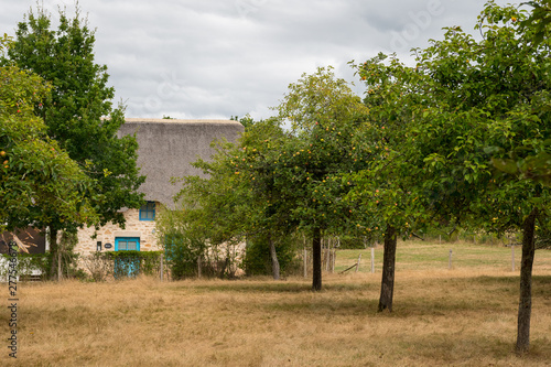 old house in saint lyphard with a thatched roof photo