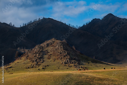 Russia. mountain Altai. The surrounding mountains regional center Onguday along Tchuisky highway. photo