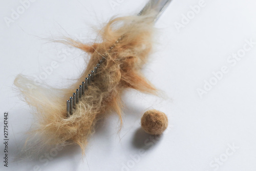 Pet hair grooming, fur comb and hairballs on white  photo