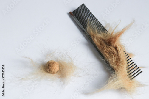 Pet hair grooming, fur comb and hairballs on white 