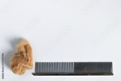 Pet hair grooming, fur comb and hairballs on white  photo