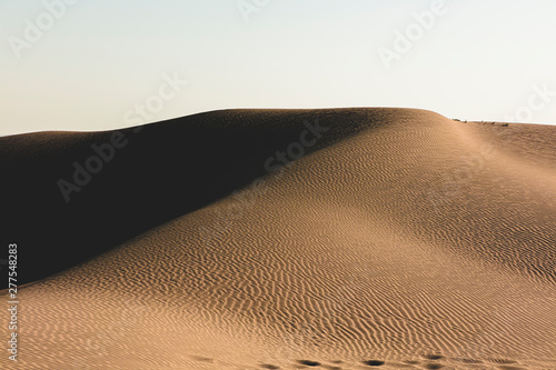 thar desert landscape, view of thar zone, in the rajasthan