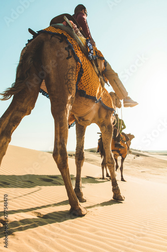 dromedary with tourist in the thar desert