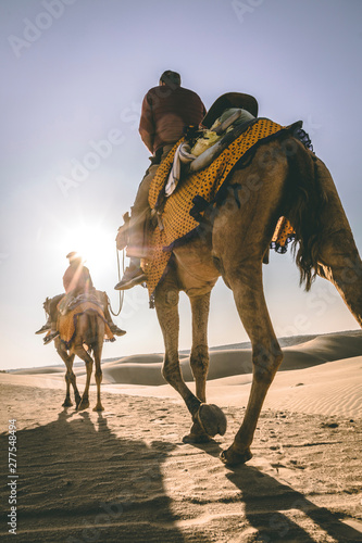 dromedary with tourist in the thar desert