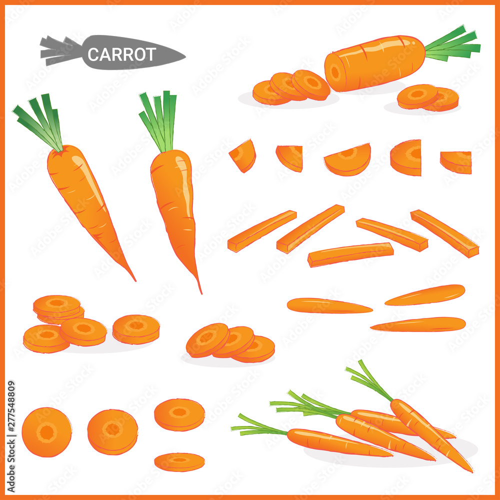 Set of fresh carrot vegetable with carrot tops in various cuts and styles in vector illustration format Set of fresh carrot vegetable with carrot tops in various cuts and styles in vector illustration format