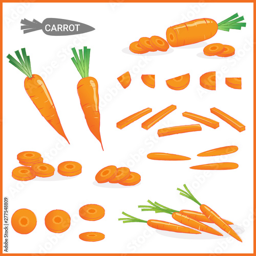 Set of fresh carrot vegetable with carrot tops in various cuts and styles in vector illustration format