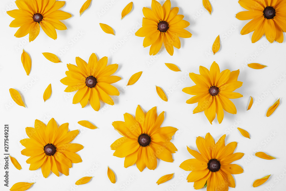 Flowers composition. Pattern made of yellow flowers on white background. Summer and autumn concept. Flat lay, top view, copy space Flowers composition. Pattern made of yellow flowers on white background. Summer and autumn concept. Flat lay, top view, copy space